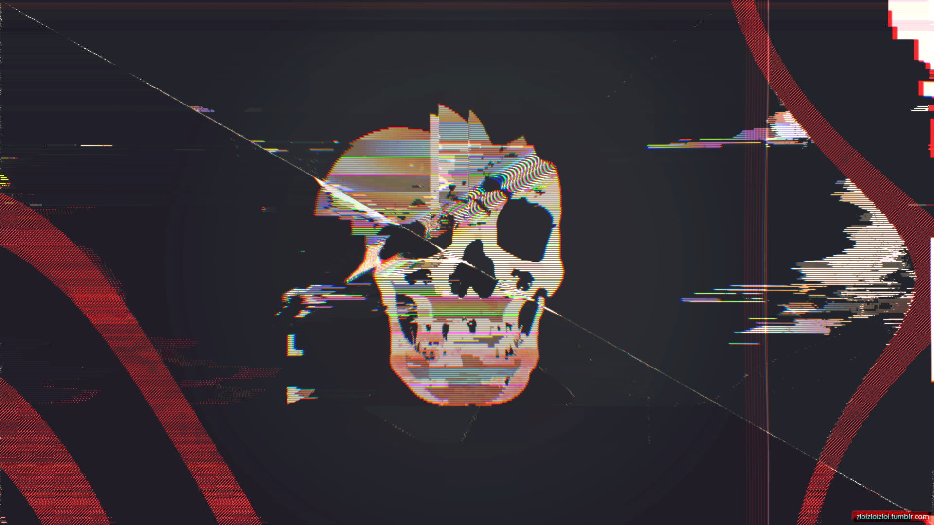 Aesthetic Skull Wallpapers