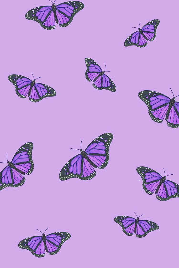 Aesthetic Sparkles Purple Butterflies Wallpapers