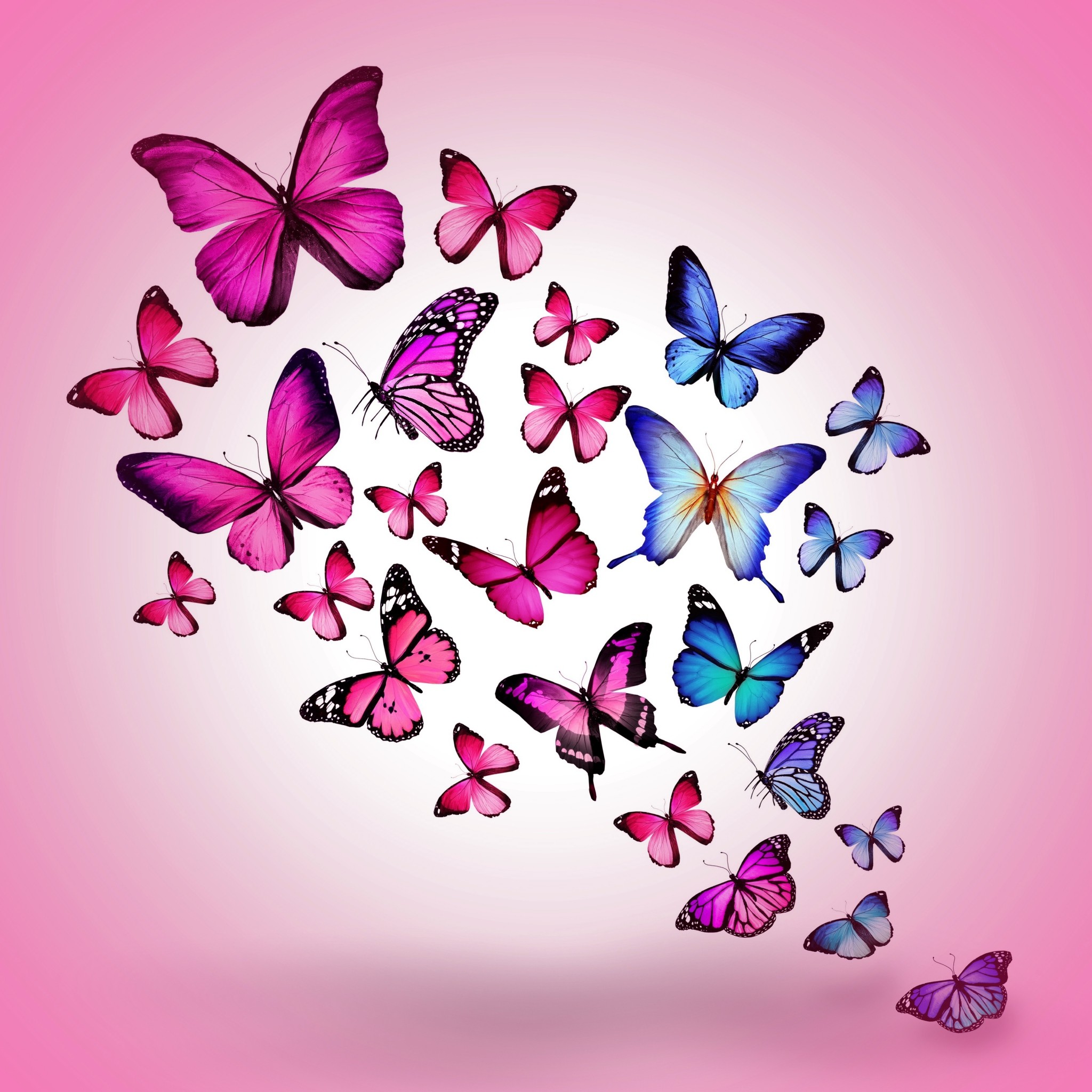 Aesthetic Sparkles Purple Butterflies Wallpapers