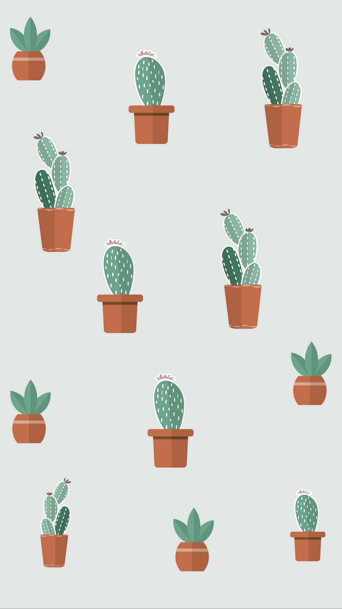 Aesthetic Succulents Wallpapers