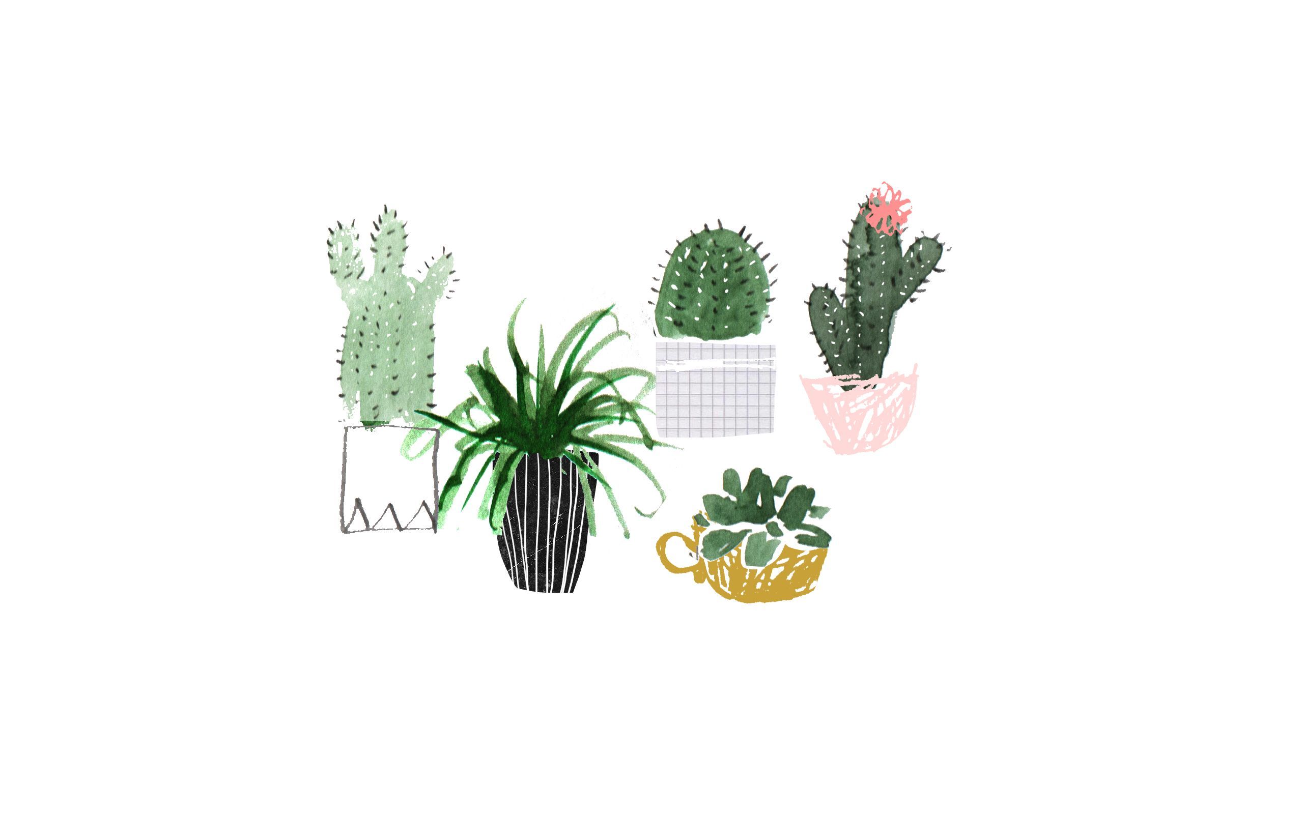 Aesthetic Succulents Wallpapers