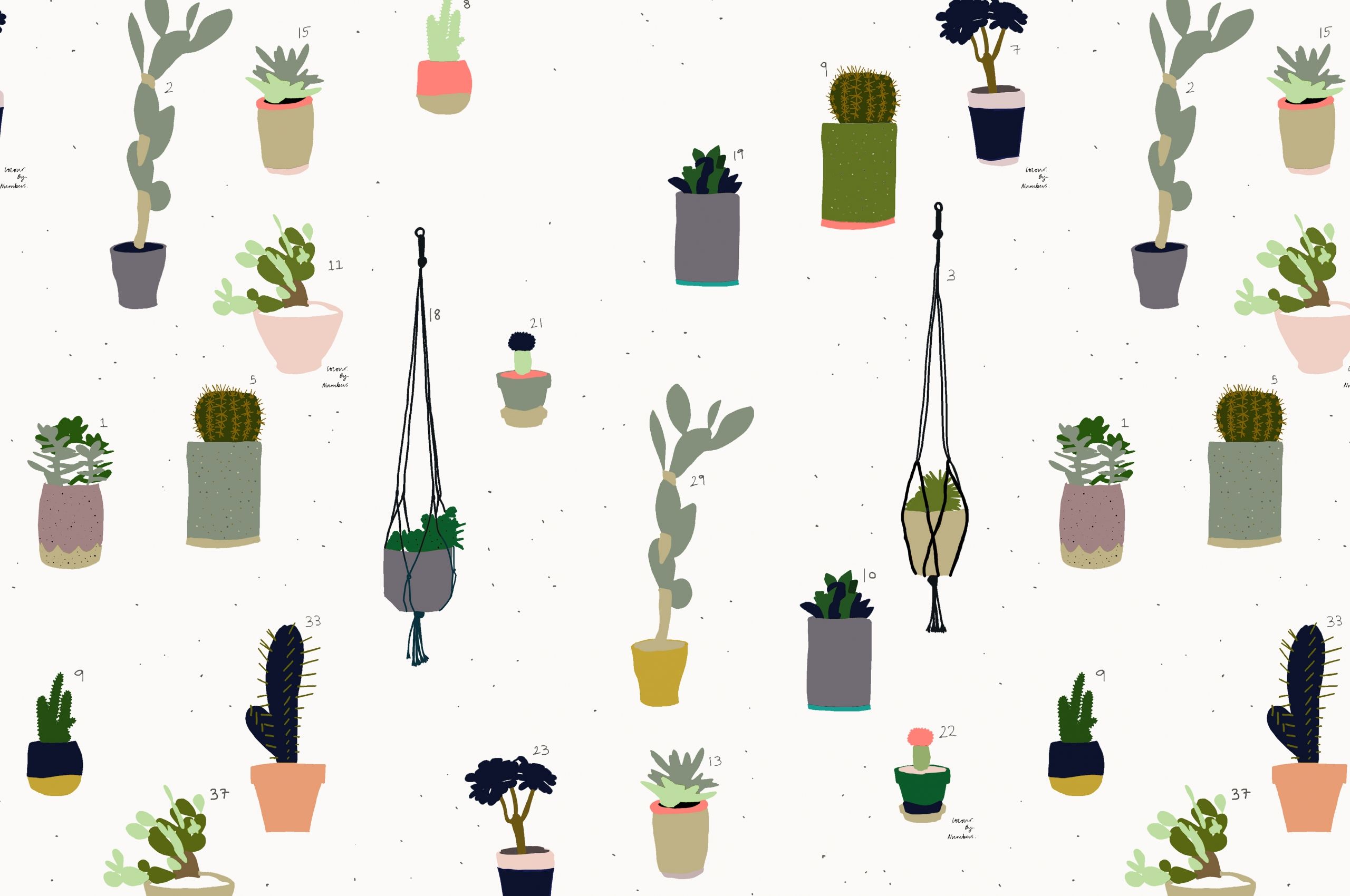 Aesthetic Succulents Wallpapers