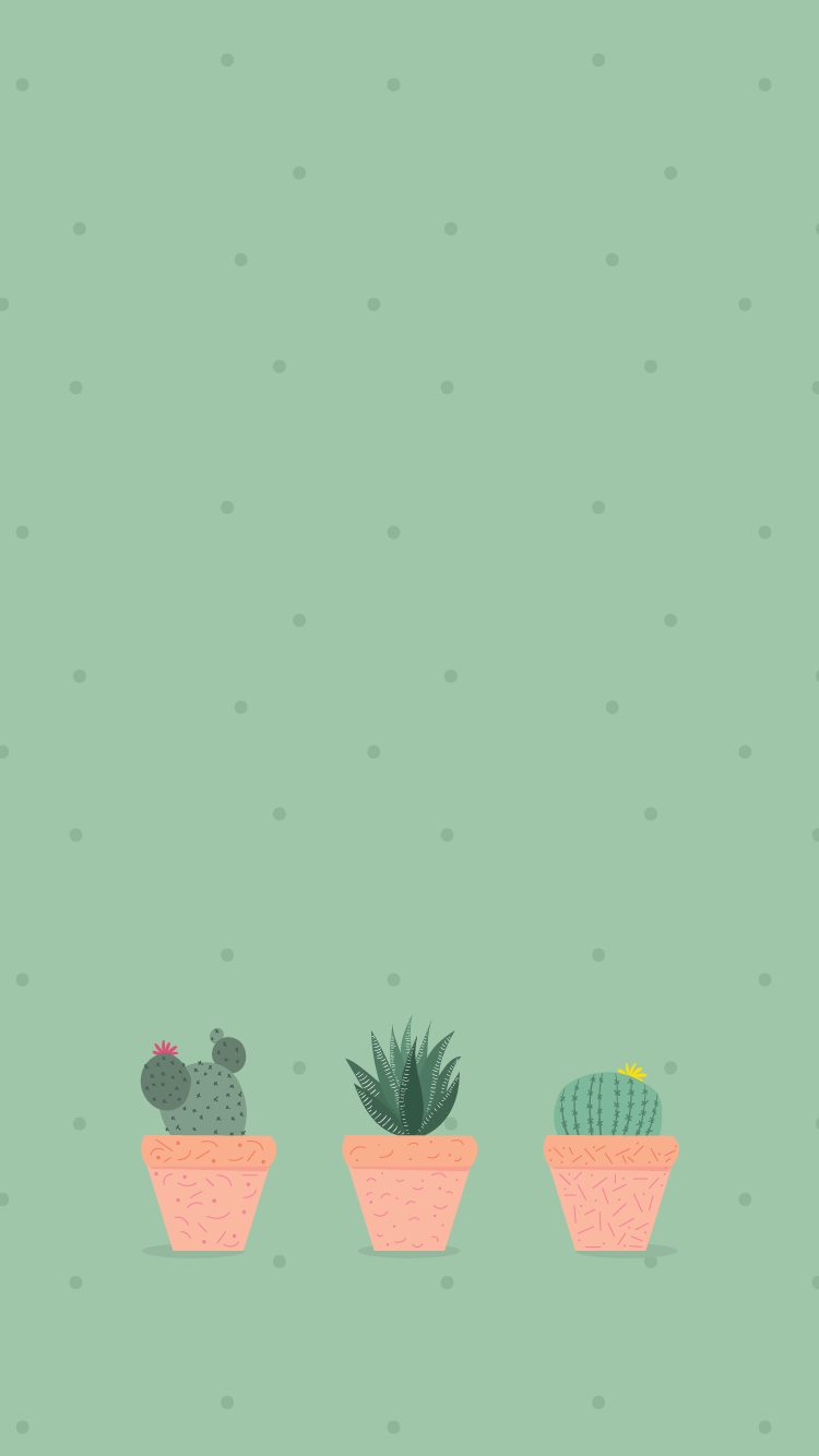 Aesthetic Succulents Wallpapers