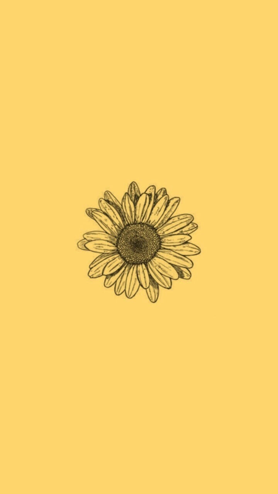 Aesthetic Sunflower Background