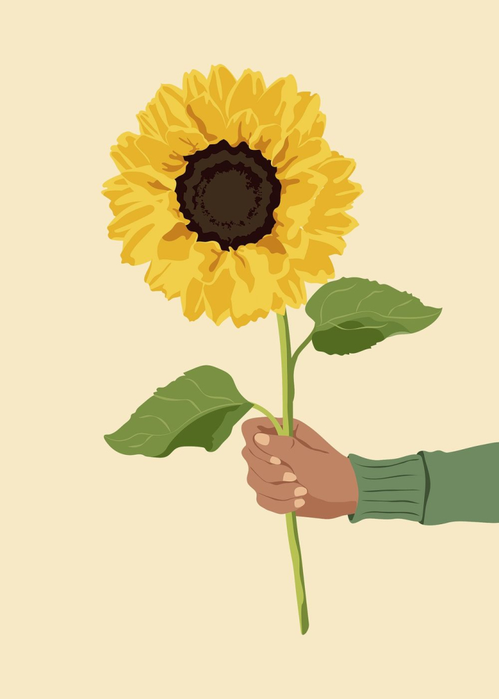 Aesthetic Sunflower Background