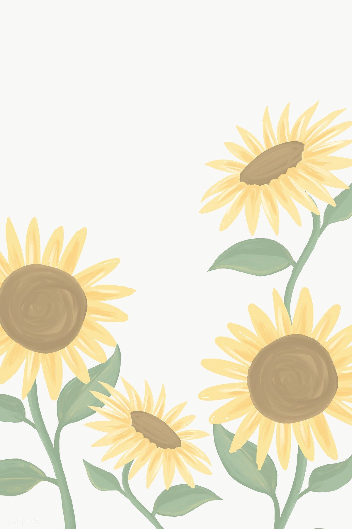 Aesthetic Sunflower Drawing Wallpapers