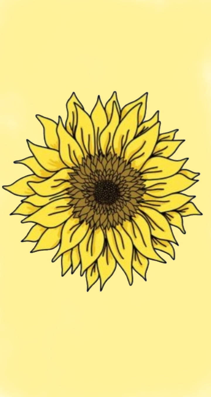 Aesthetic Sunflower Drawing Wallpapers