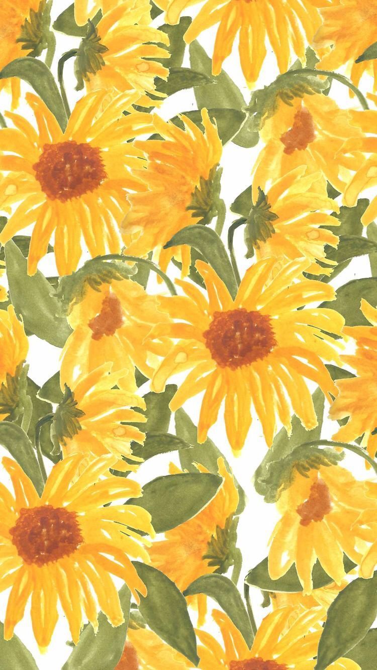 Aesthetic Sunflower Drawing Wallpapers