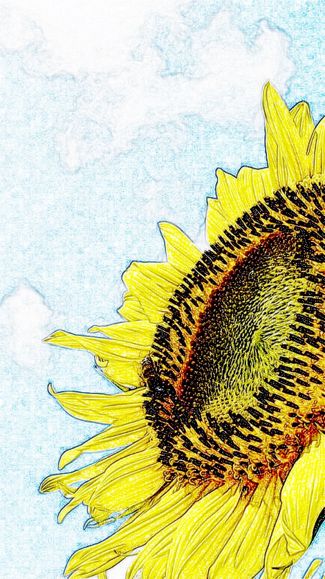 Aesthetic Sunflower Drawing Wallpapers