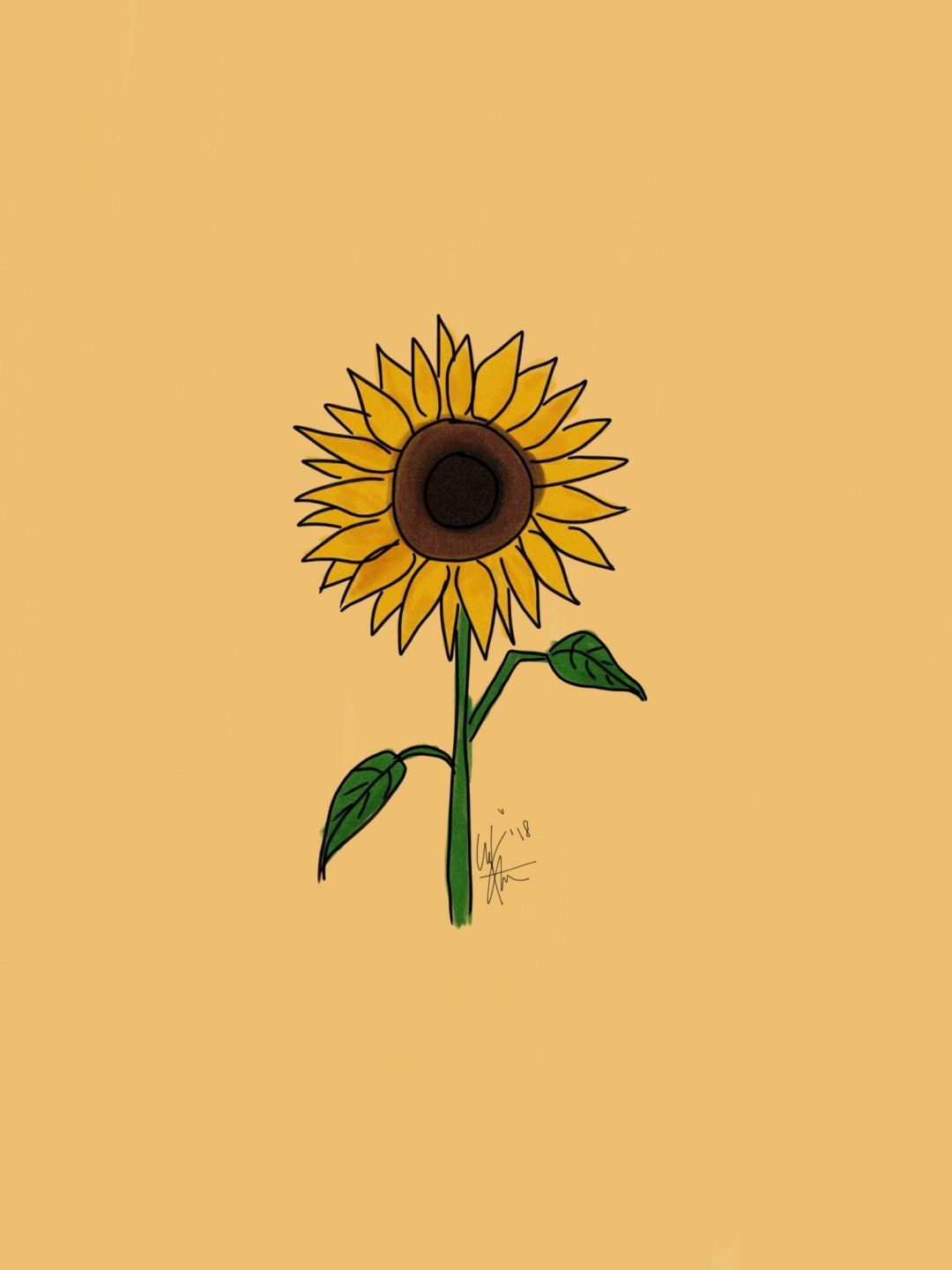 Aesthetic Sunflower Pictures Wallpapers