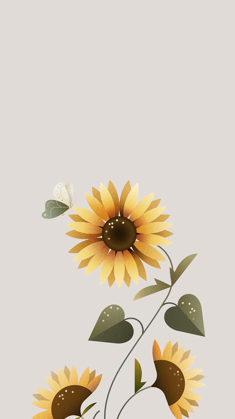 Aesthetic Sunflower Wallpapers