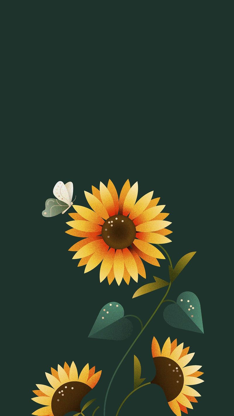 Aesthetic Sunflower Wallpapers