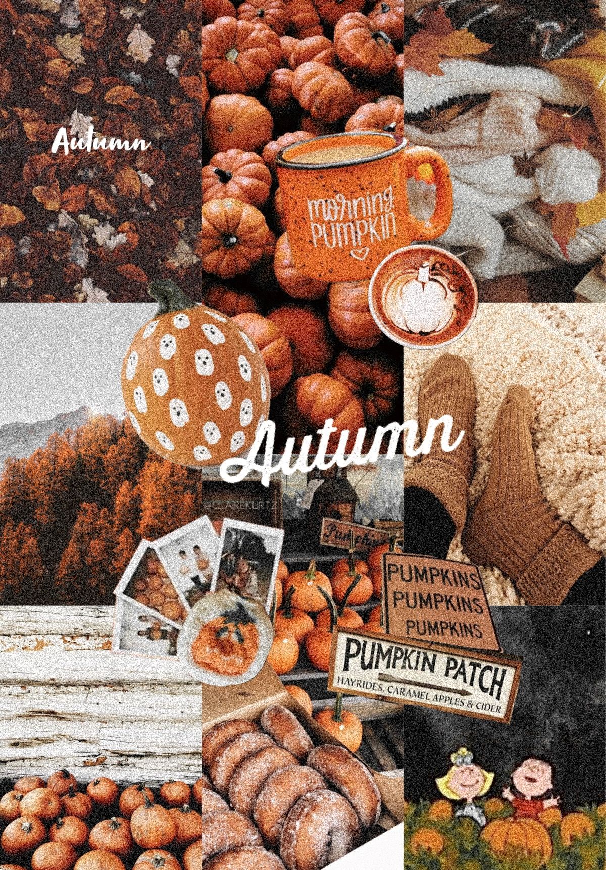 Aesthetic Thanksgiving Wallpapers