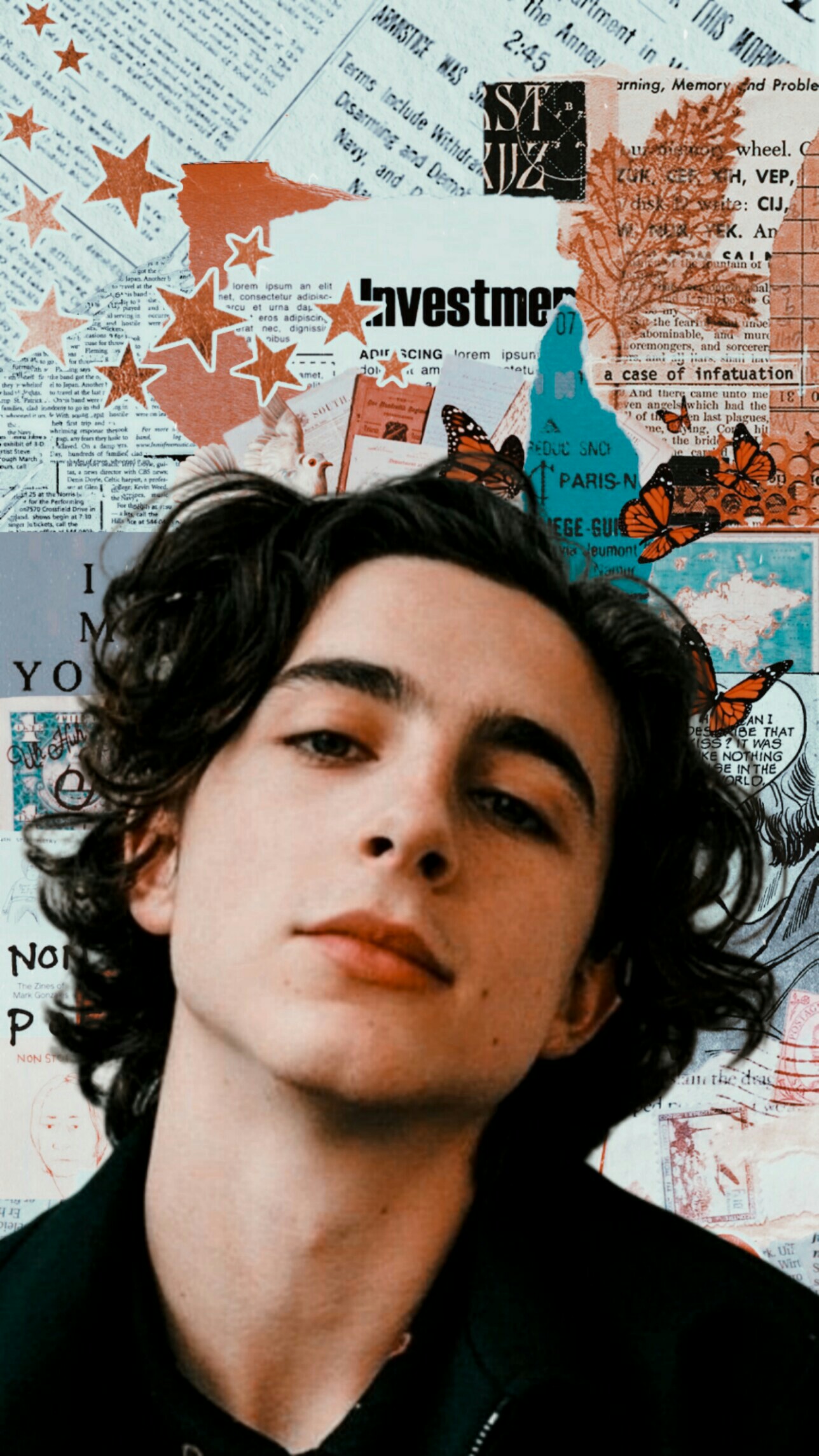 Aesthetic Timothee Chalamet Wallpapers