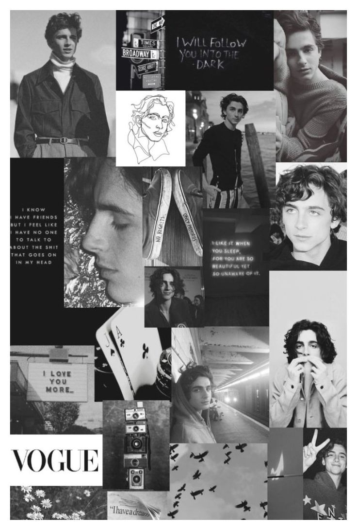 Aesthetic Timothee Chalamet Wallpapers