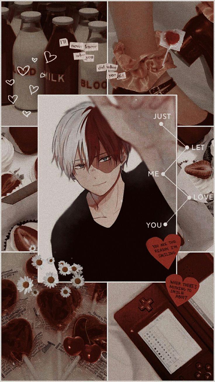 Aesthetic Todoroki Wallpapers