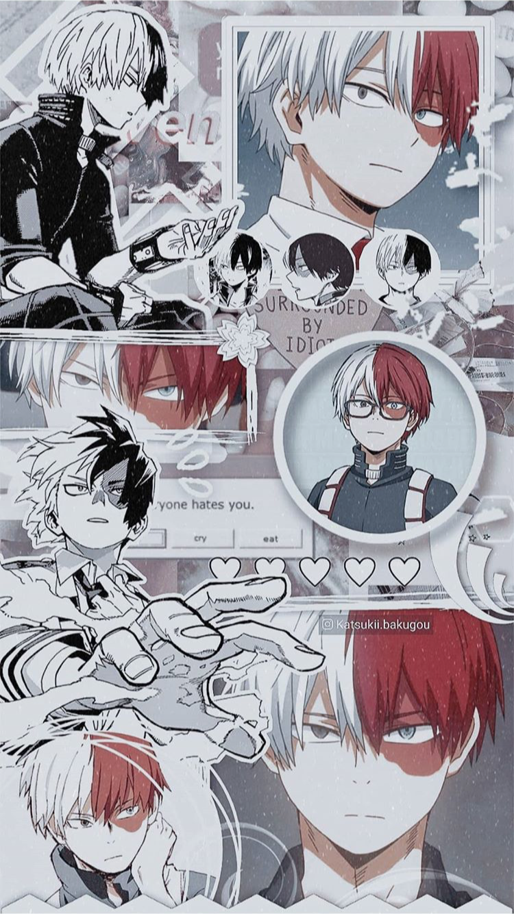 Aesthetic Todoroki Wallpapers