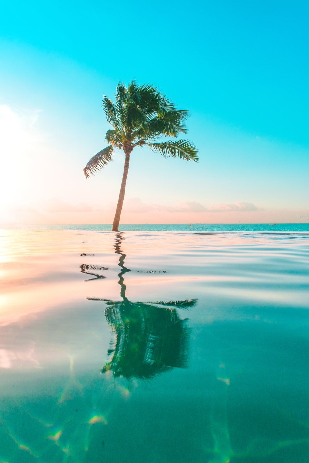 Aesthetic Tropical Desktop Wallpapers