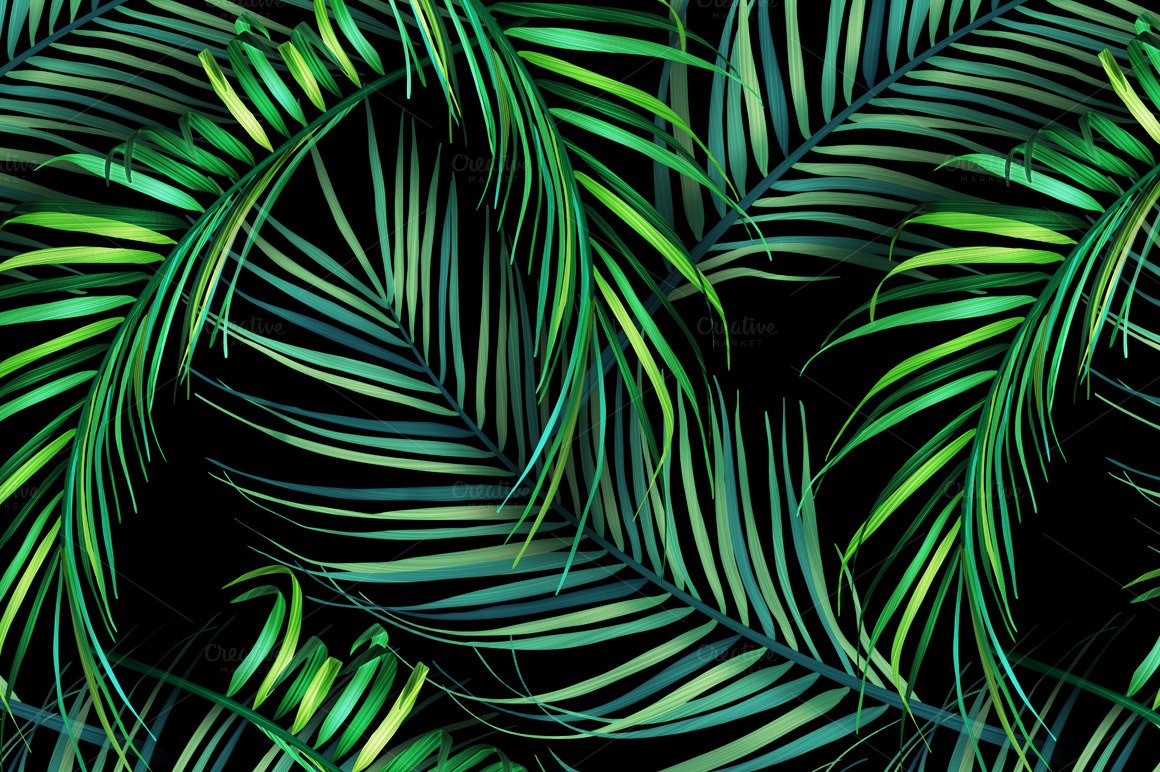 Aesthetic Tropical Leaves Wallpapers