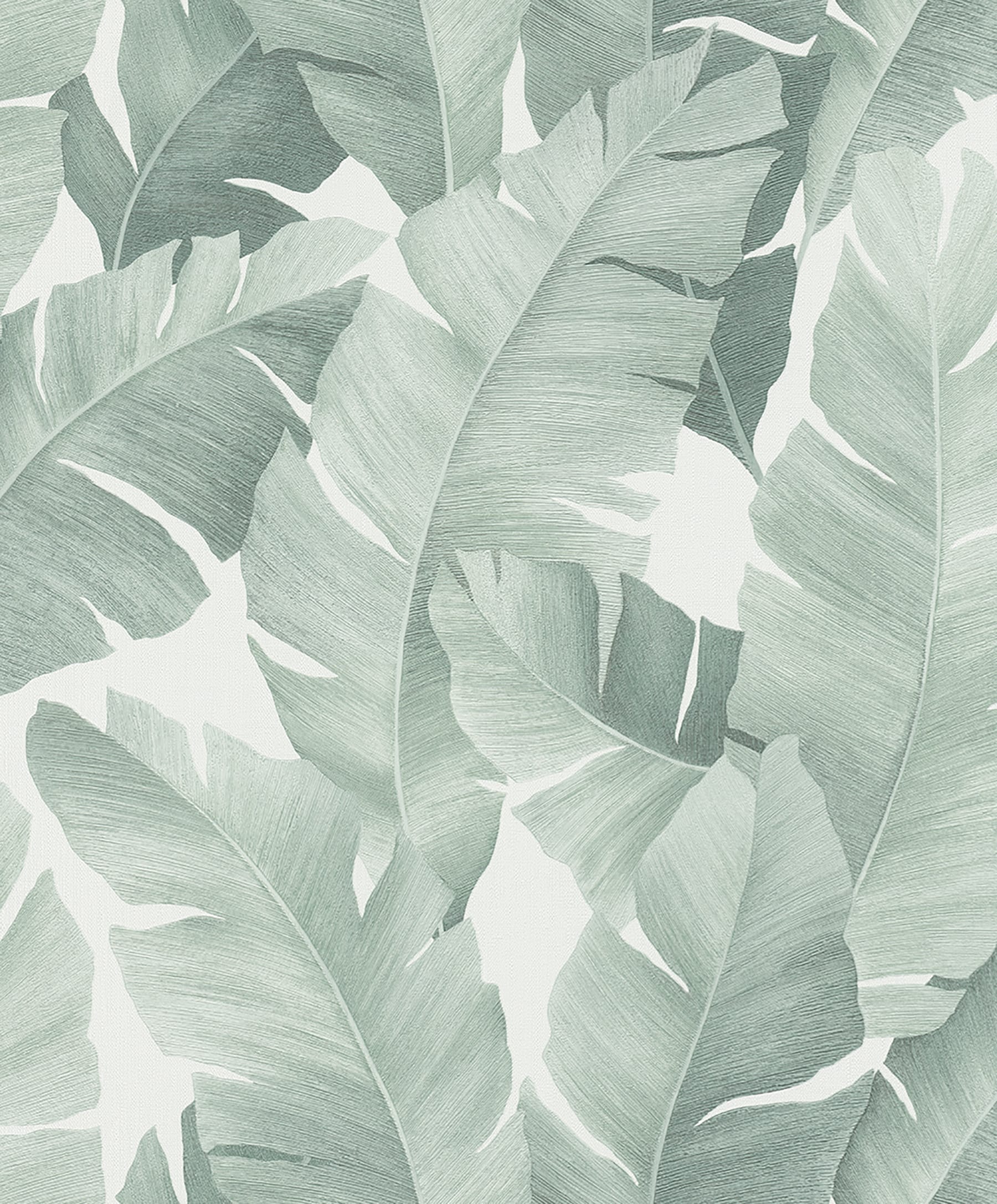 Aesthetic Tropical Leaves Wallpapers