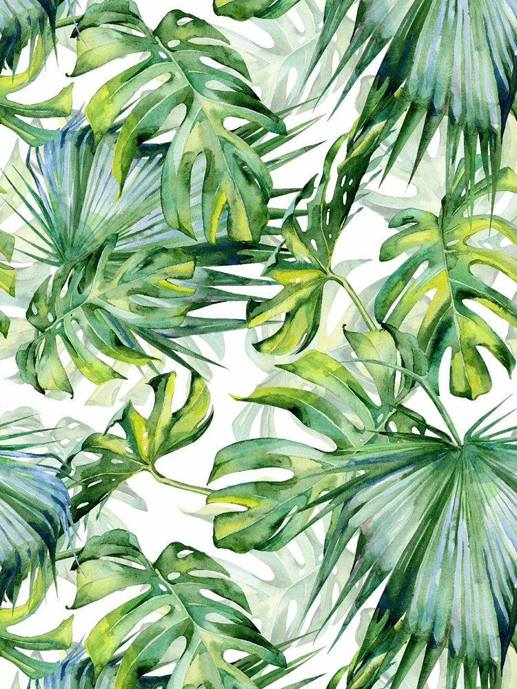 Aesthetic Tropical Leaves Wallpapers