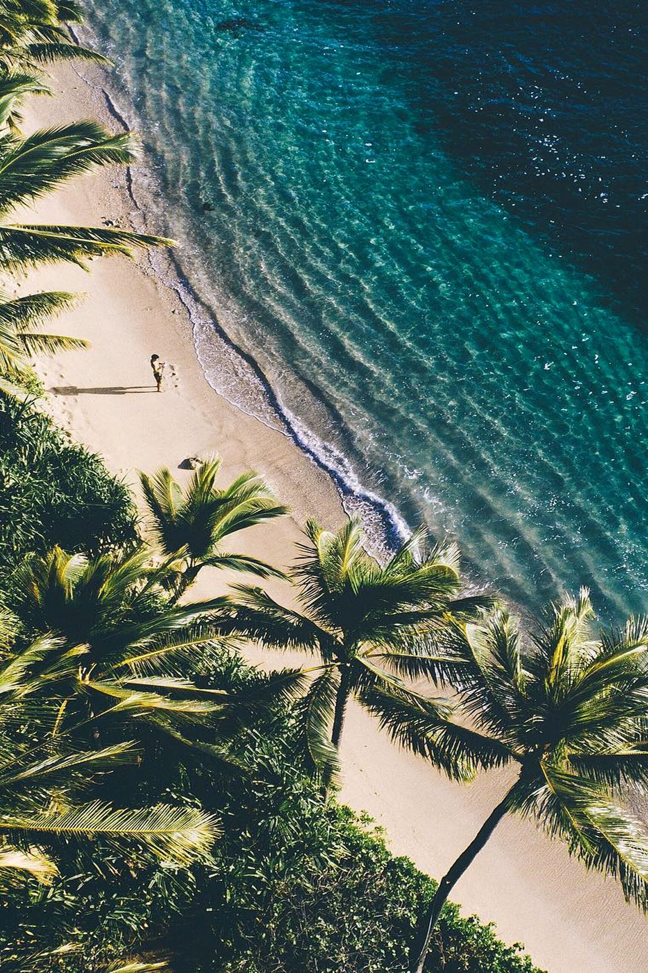 Aesthetic Tropical Wallpapers