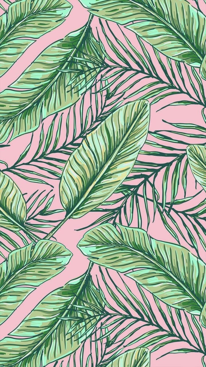 Aesthetic Tumblr Plant Wallpapers