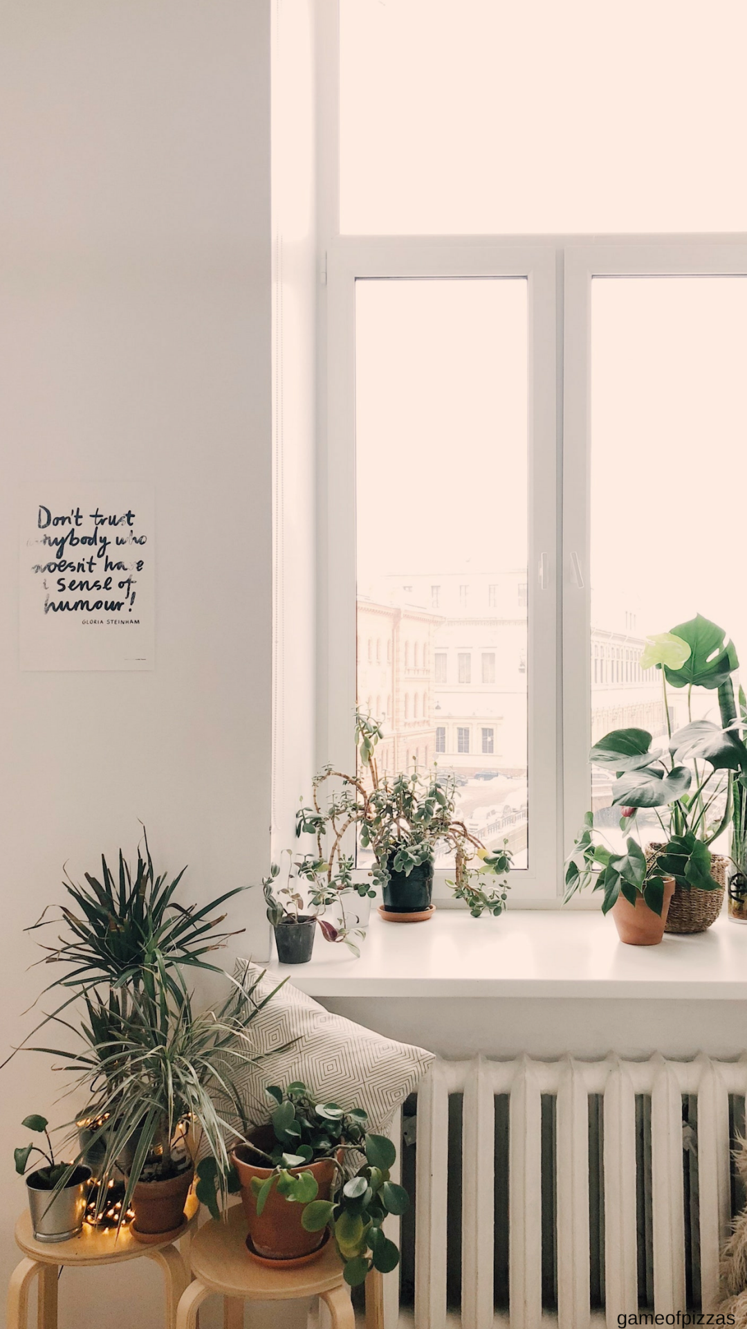 Aesthetic Tumblr Plant Wallpapers