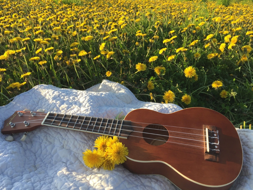 Aesthetic Ukuleles Wallpapers