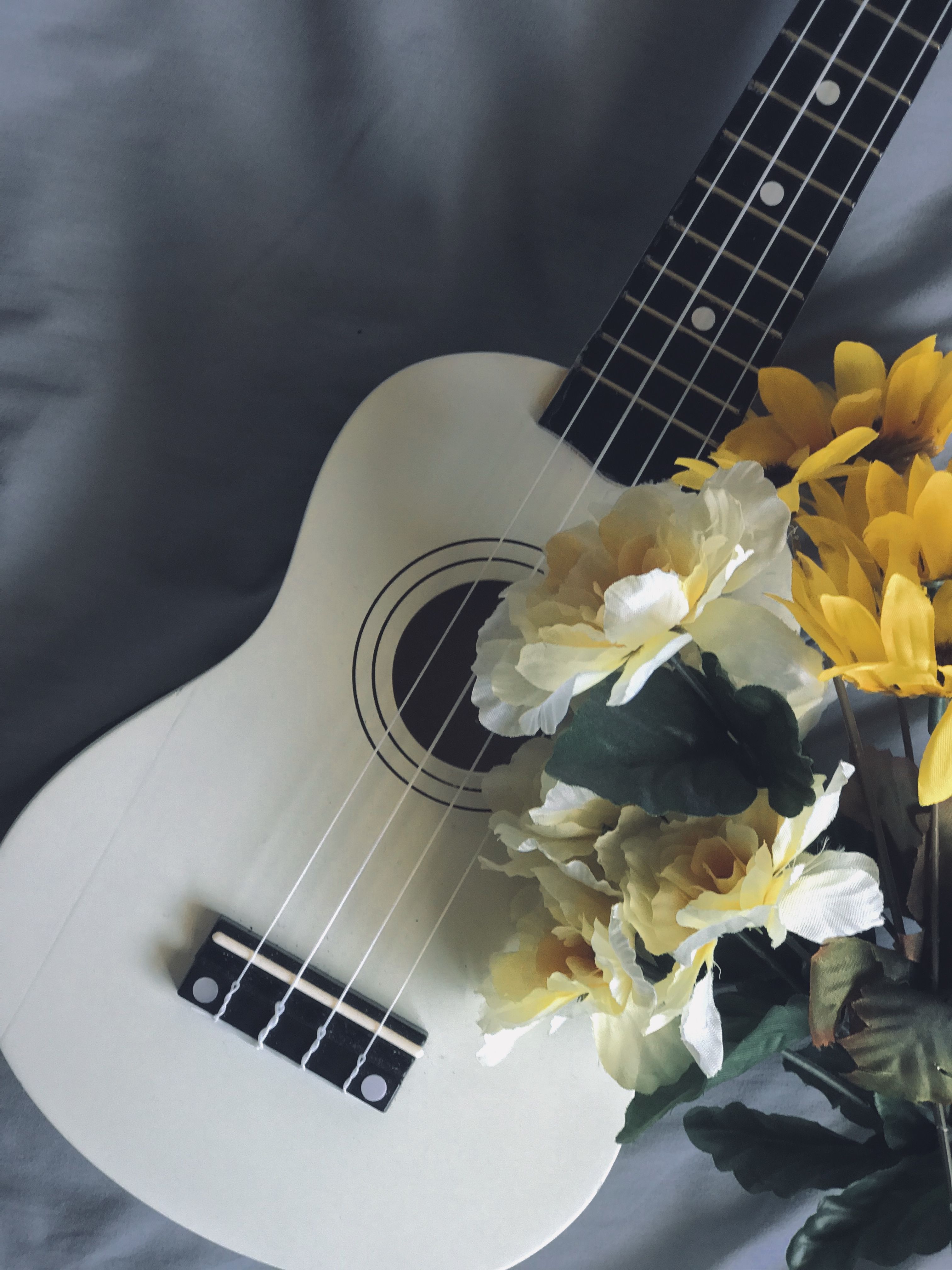 Aesthetic Ukuleles Wallpapers