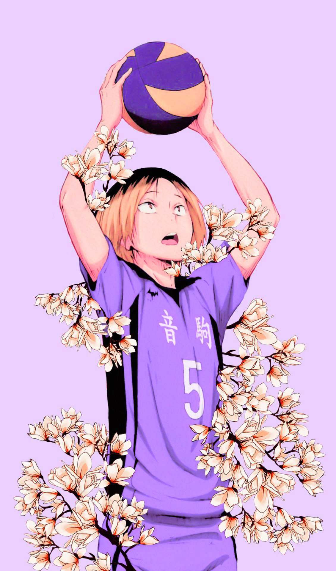 Aesthetic Volleyball Wallpapers
