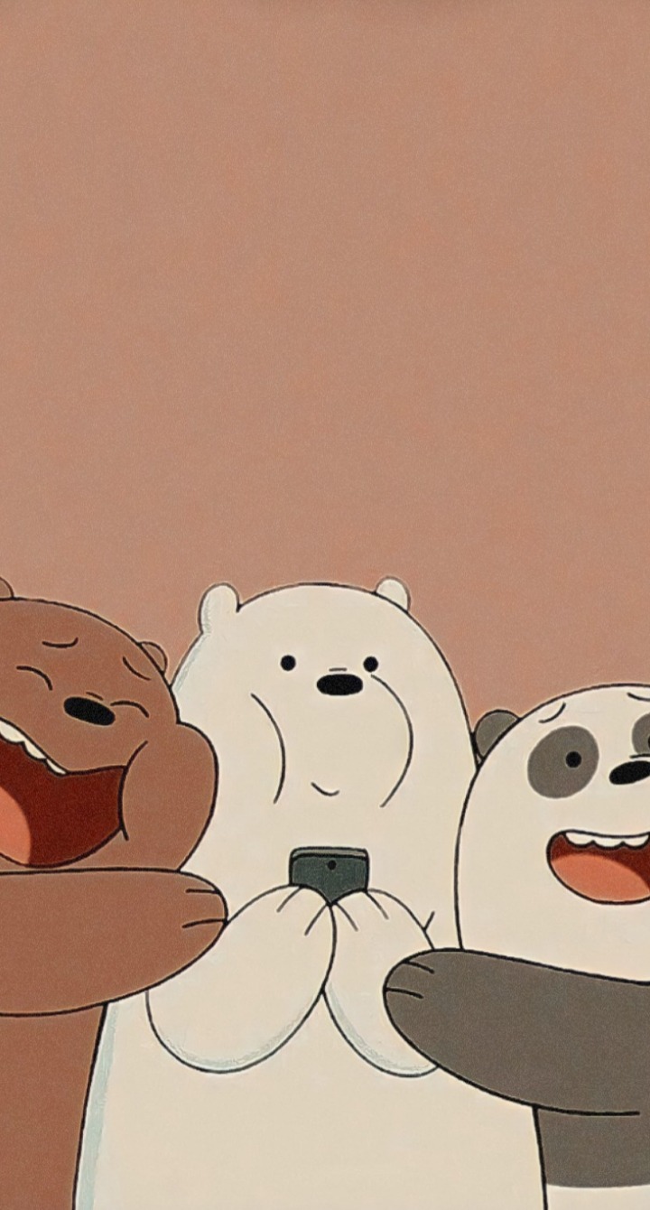 Aesthetic We Bare Bears Wallpapers