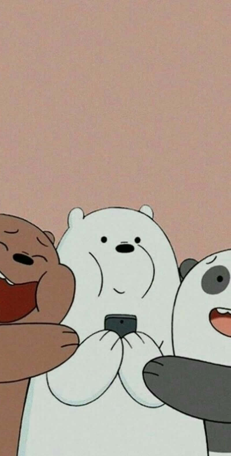 Aesthetic We Bare Bears Wallpapers