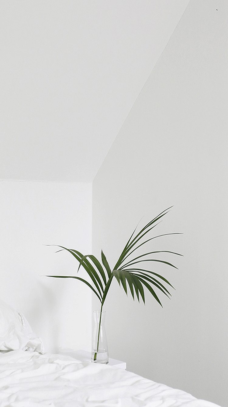 Aesthetic White Wallpapers