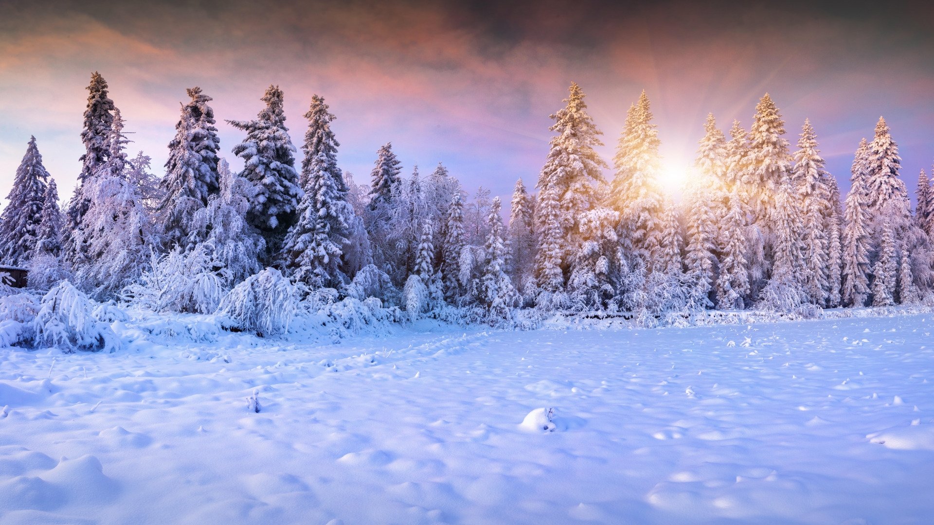 Aesthetic Winter Wallpapers