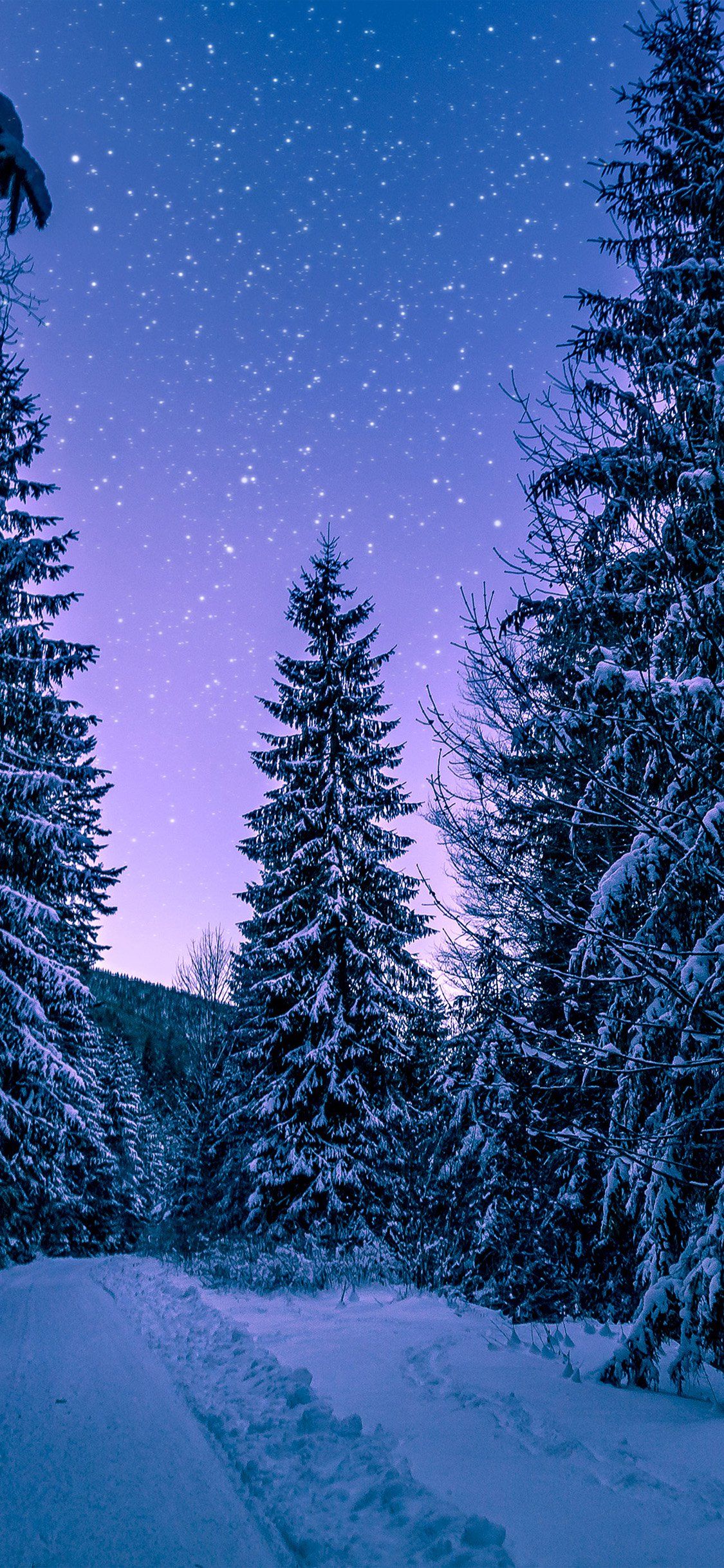 Aesthetic Winter Wallpapers