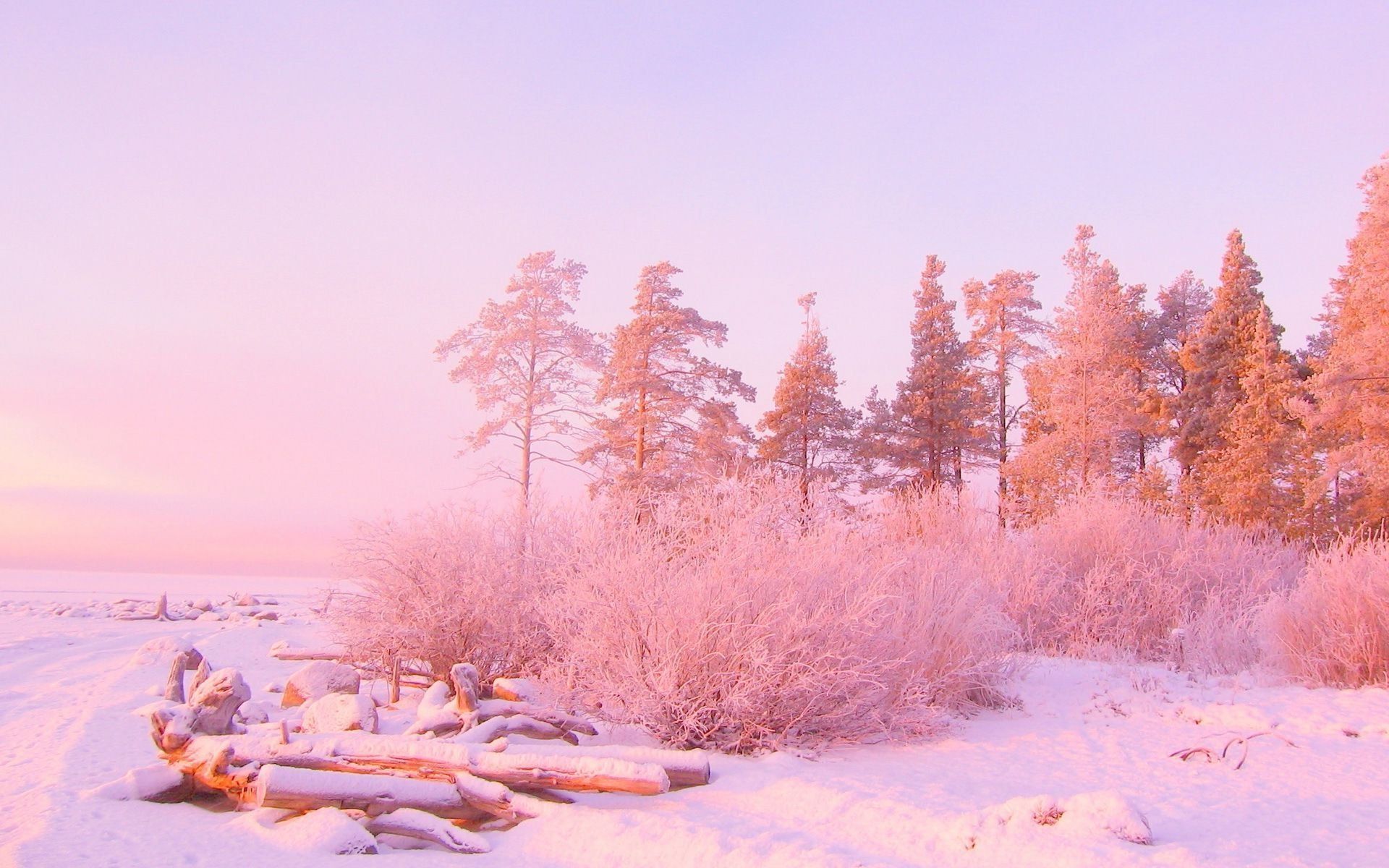 Aesthetic Winter Wallpapers