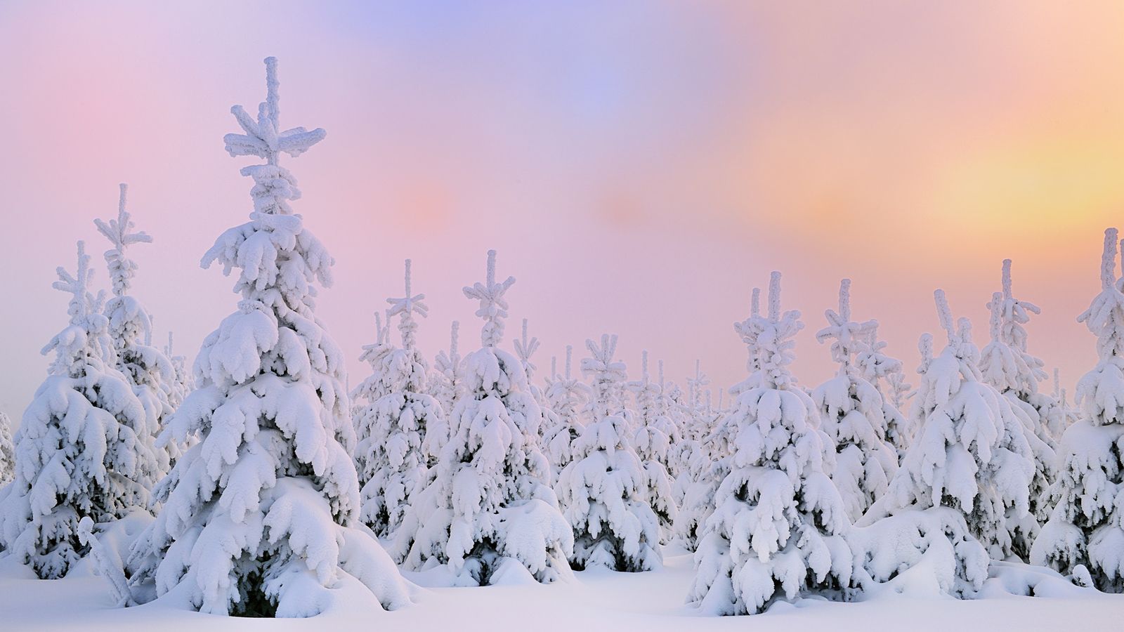 Aesthetic Winter Wallpapers