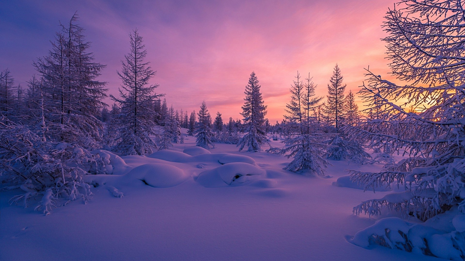 Aesthetic Winter Wallpapers