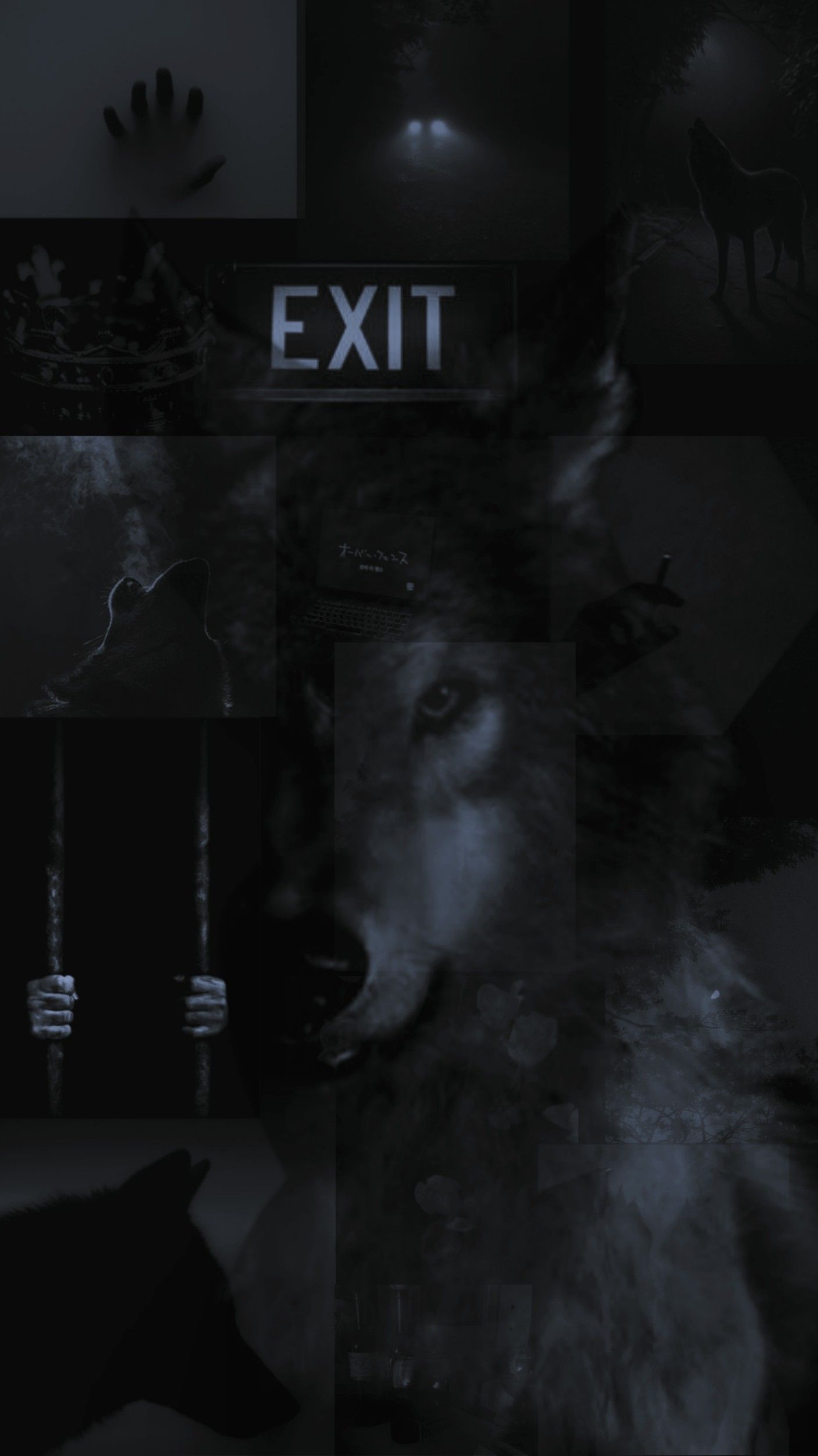 Aesthetic Wolf Wallpapers