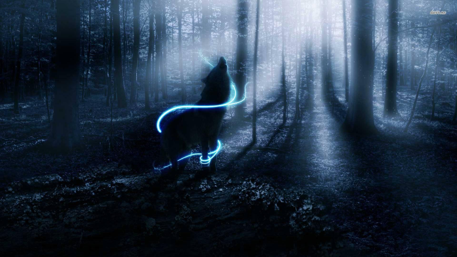 Aesthetic Wolf Wallpapers