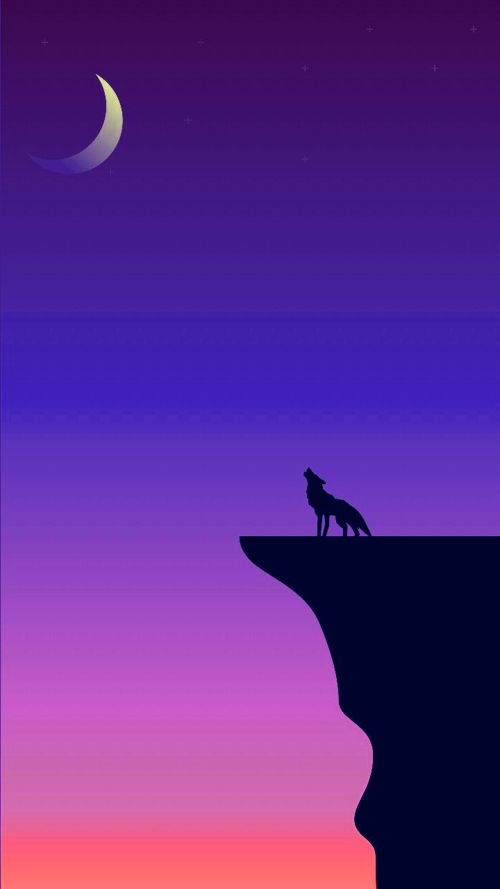 Aesthetic Wolf Wallpapers