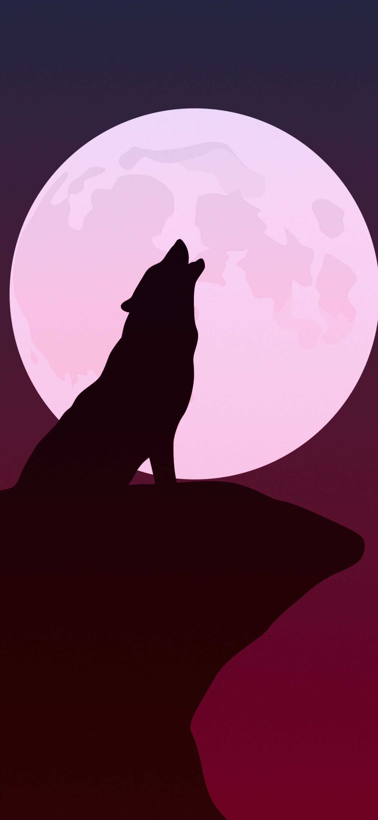 Aesthetic Wolf Wallpapers