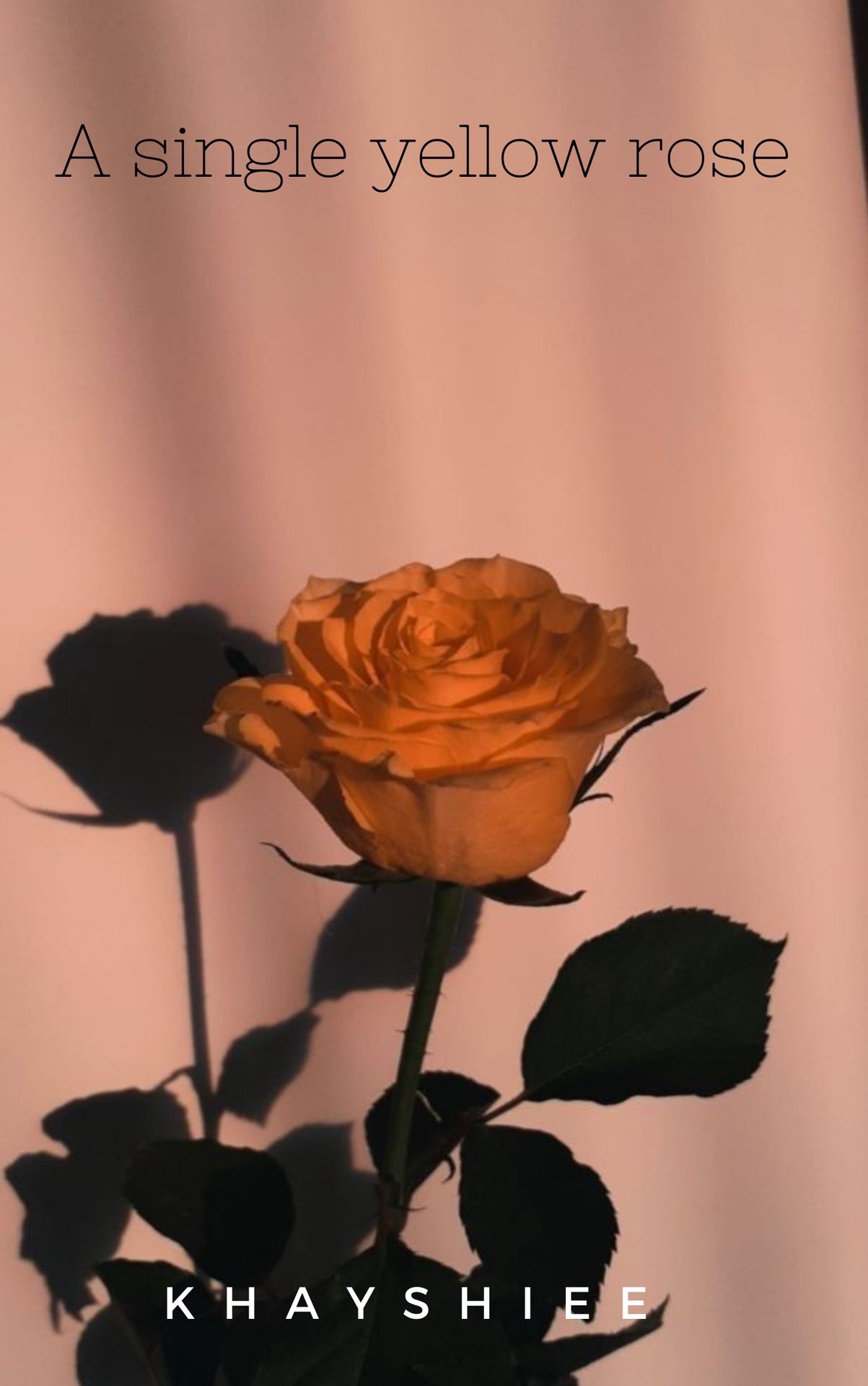 Aesthetic Yellow Rose Wallpapers