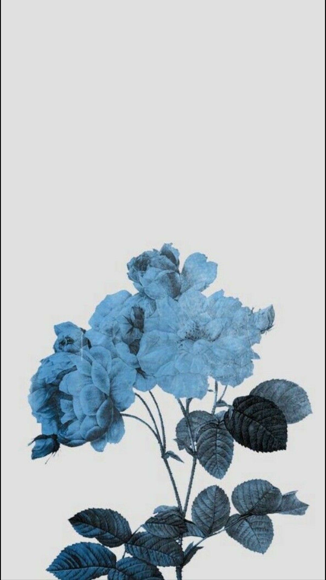 Aesthetics Blue Drawn Flower Wallpapers