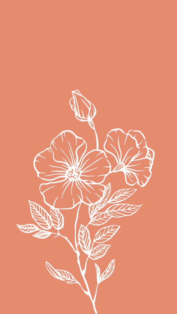 Aesthetics Drawing Iphone Wallpapers