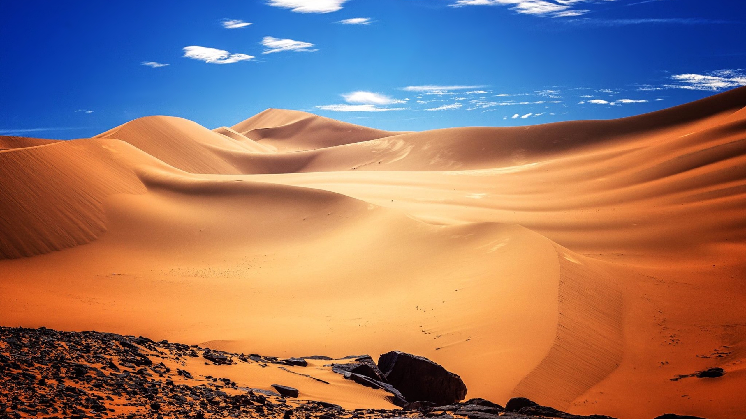 Africa Algeria Desert Wallpapers