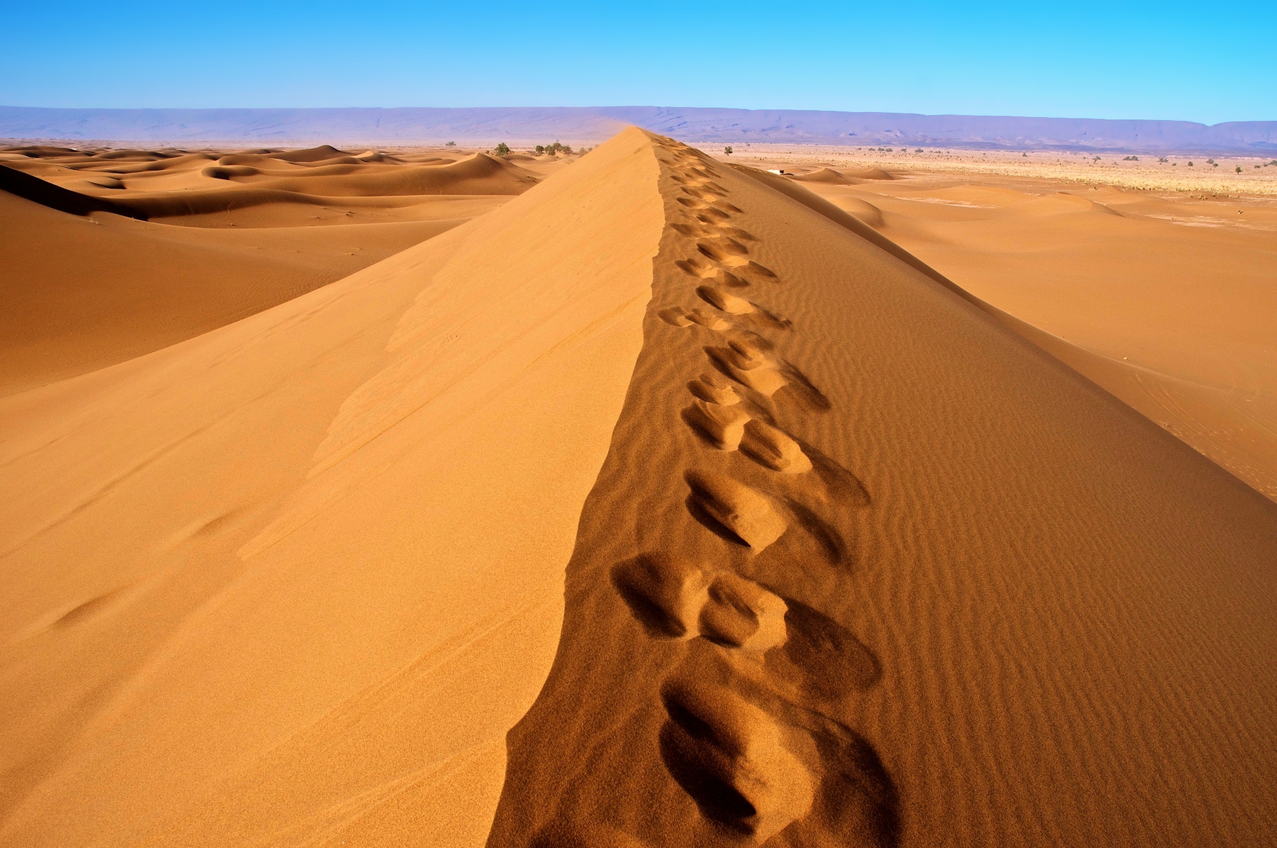 Africa Algeria Sahara Desert At Night Wallpapers