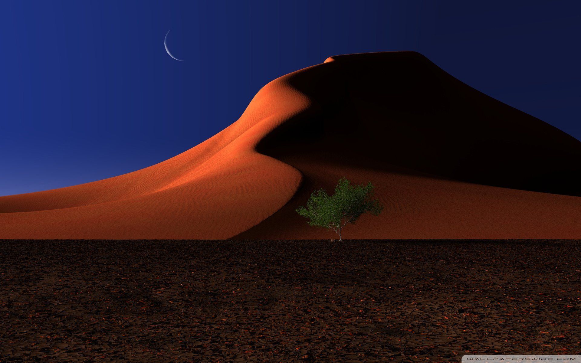 Africa Algeria Sahara Desert At Night Wallpapers