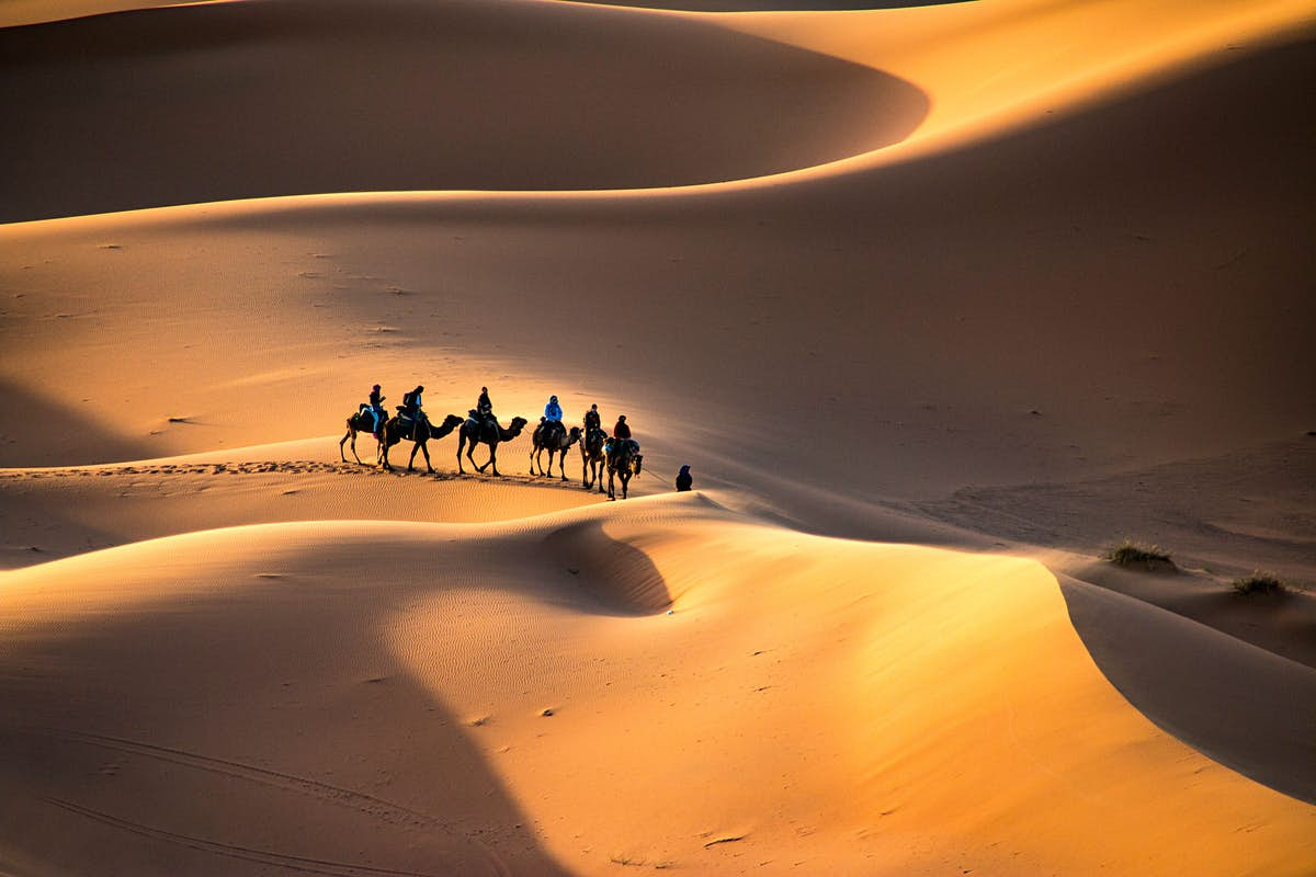 Africa Algeria Sahara Desert At Night Wallpapers